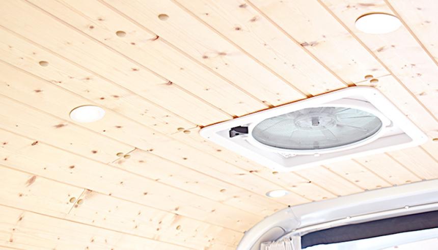 スプルース羽目板