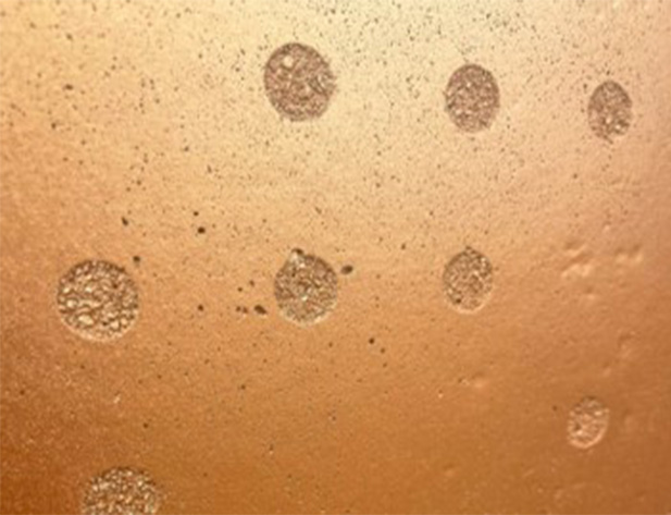 コンクリート壁用着色保護剤「プロテクトガードカラー」/株式会社ビベル