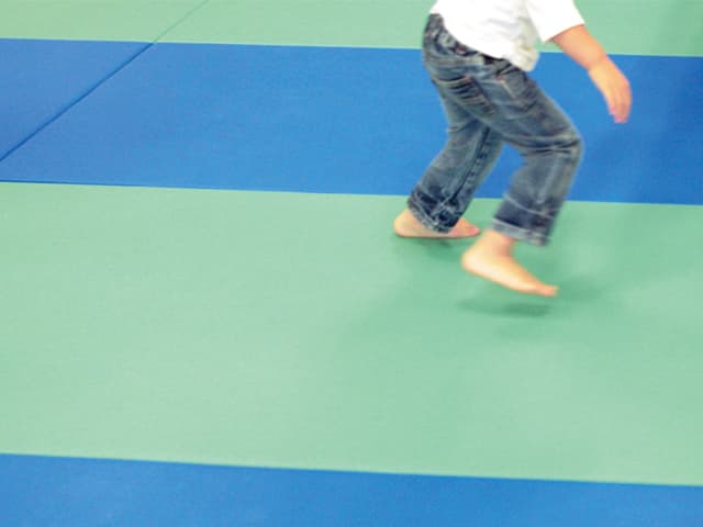 トラックス・ゲルマット