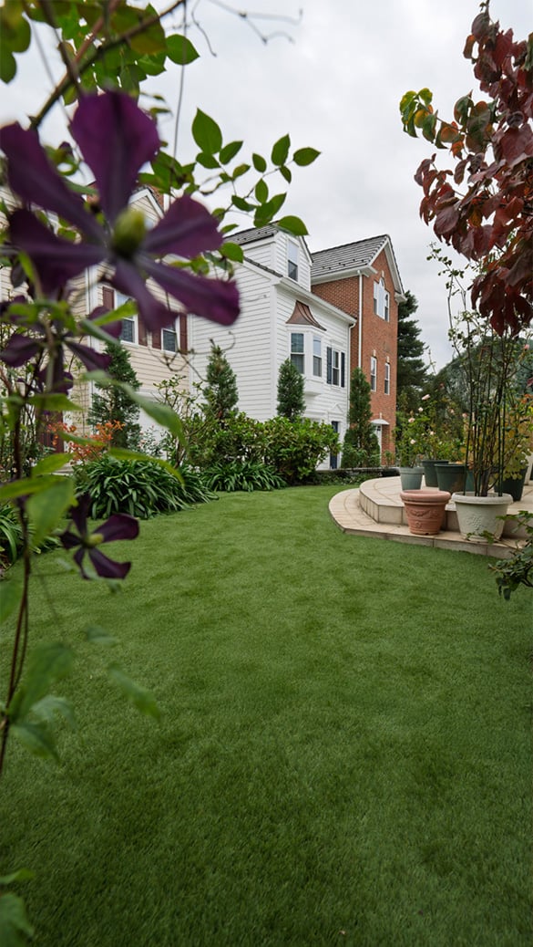 Green Vigor - 人工芝