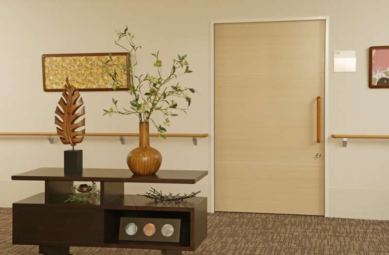 高齢者集合住宅向け玄関ドア 【ヴァリフェイス】