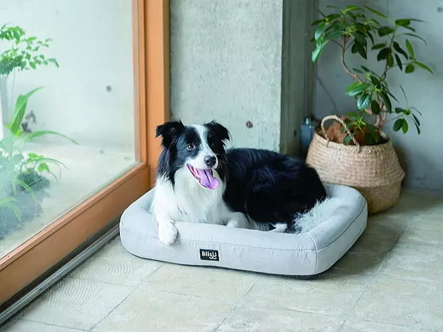 ペットベッド