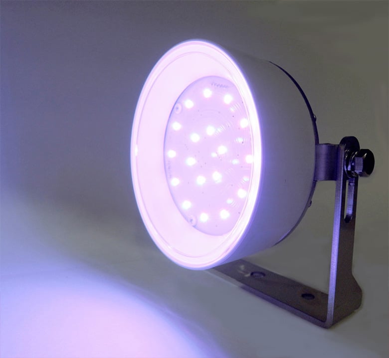 StainedLight (ステンドライト)