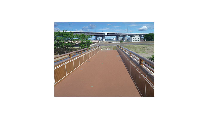 アスコサイトSK