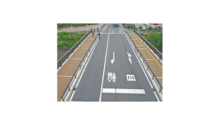 アスコサイトSK