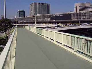 アスコサイトSK