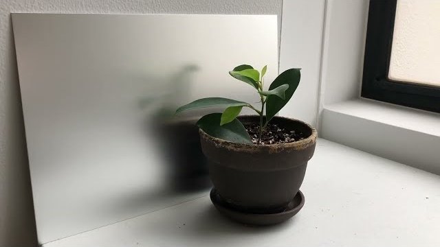 バンドクサルデコール アルミブラスト仕上げ(AL-127V)