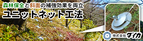 株式会社ダイカ