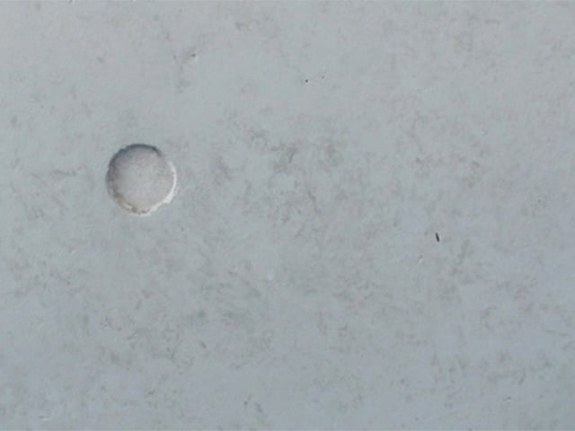 ランデックスコート FCコート