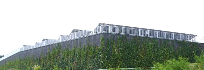 つる植物専用培土「ツルパワーソイル」