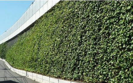 つる植物専用培土「ツルパワーソイル」