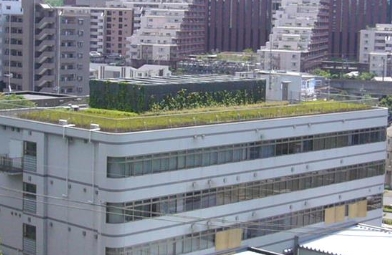 つる植物専用培土「ツルパワーソイル」