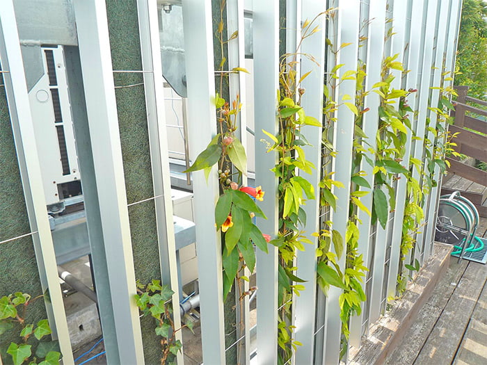 外装ルーバー+登はん型壁面緑化【ツルパワールーバー】