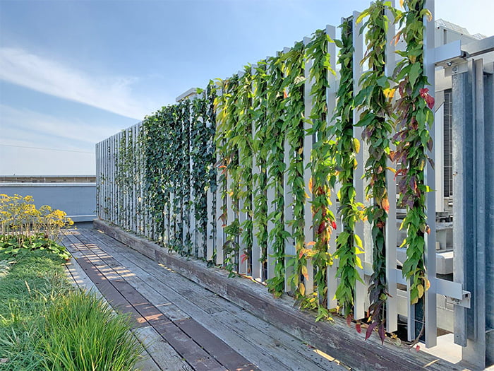 外装ルーバー+登はん型壁面緑化【ツルパワールーバー】