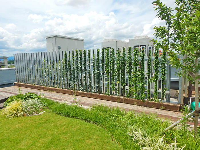 外装ルーバー+登はん型壁面緑化【ツルパワールーバー】