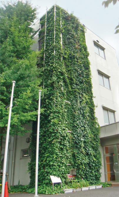 ツルパワーソイル