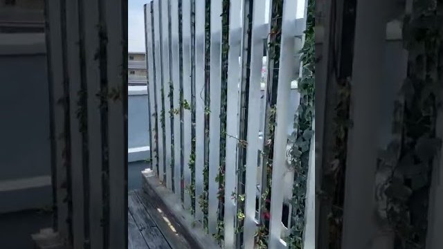 ツルパワールーバー