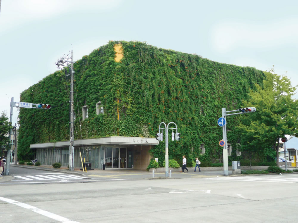 つる植物を用いた壁面緑化工法ヘデラ登ハンシステム「ツルパワーパネル」