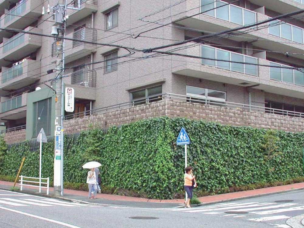 つる植物を用いた壁面緑化工法ヘデラ登ハンシステム「ツルパワーパネル」