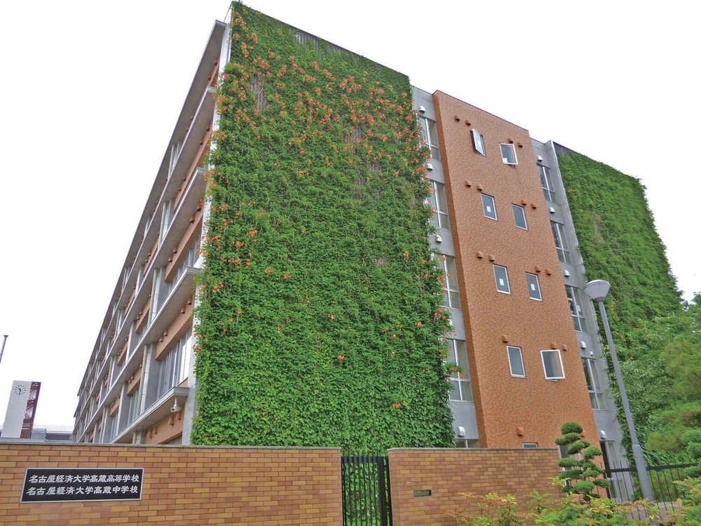 つる植物を用いた壁面緑化工法ヘデラ登ハンシステム「ツルパワーパネル」