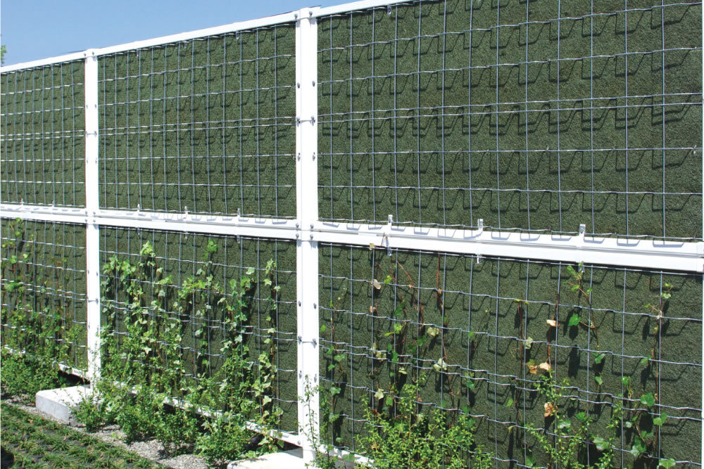 つる植物を用いた緑化型目かくしフェンスヘデラ登ハンシステム「ツルパワーフェンス」