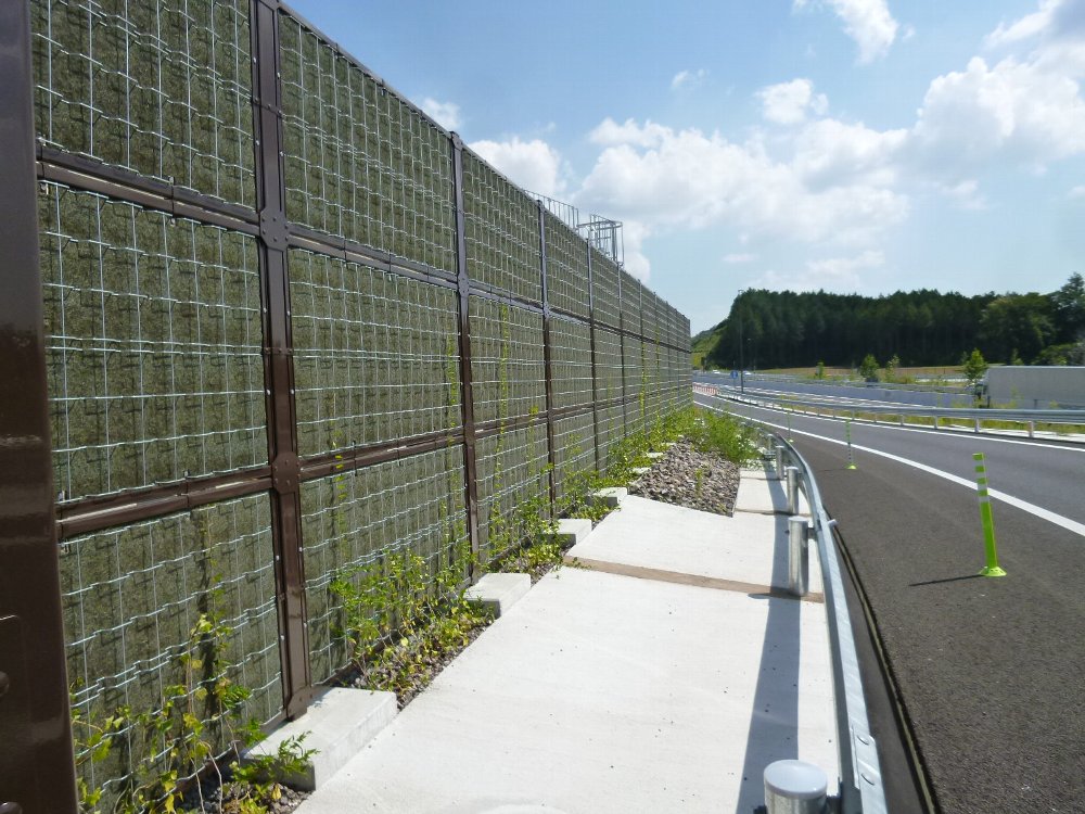 つる植物を用いた緑化型目かくしフェンスヘデラ登ハンシステム「ツルパワーフェンス」