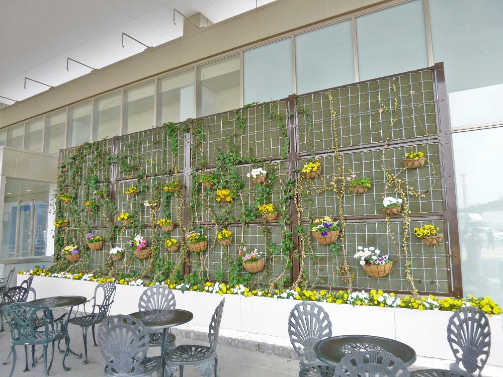 つる植物を用いた緑化型目かくしフェンスヘデラ登ハンシステム「ツルパワーフェンス」