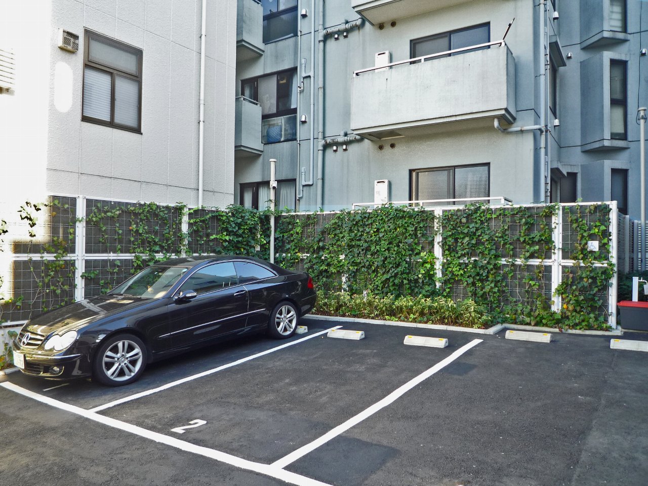 つる植物を用いた緑化型目かくしフェンスヘデラ登ハンシステム「ツルパワーフェンス」