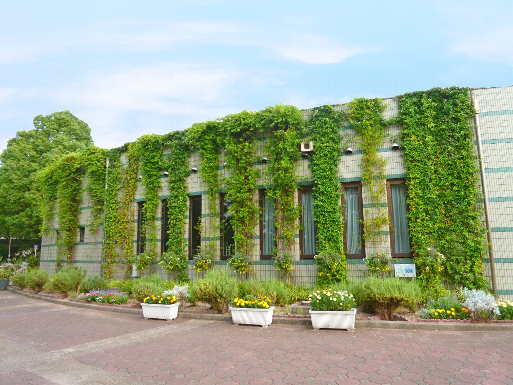 壁面緑化用ワイヤー【ツルパワーワイヤー】