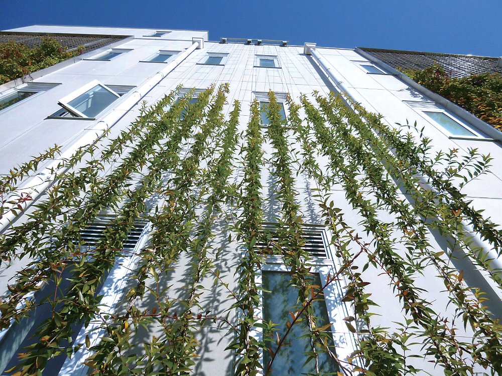 壁面緑化用ワイヤー【ツルパワーワイヤー】