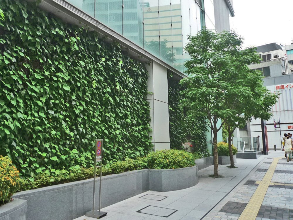 つる植物を用いた壁面緑化工法ヘデラ登ハンシステム「ツルパワーパネル」