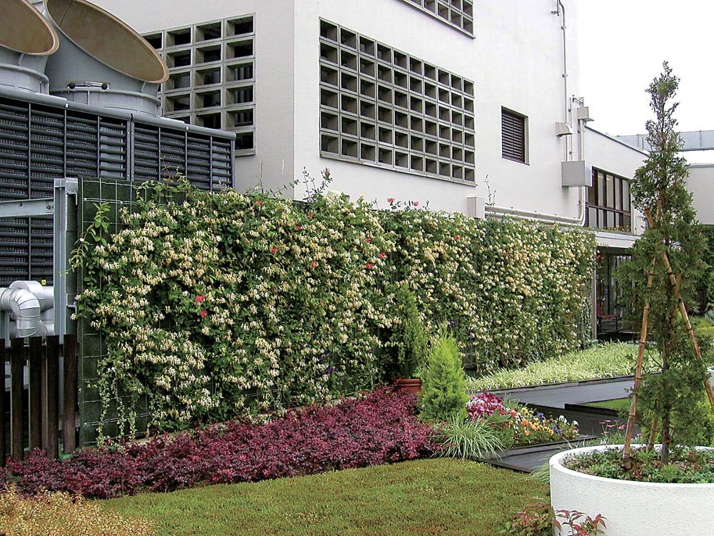 つる植物を用いた壁面緑化工法ヘデラ登ハンシステム「ツルパワーパネル」