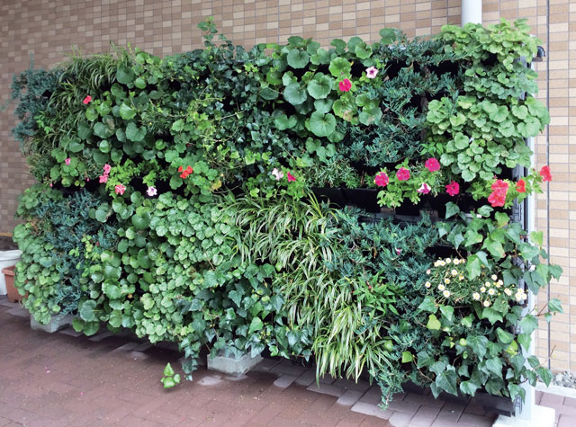 壁面緑化【D&apos;s グリーンプランター】