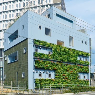 壁面緑化【D&apos;s グリーンプランター】