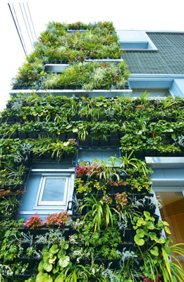 壁面緑化【D&apos;s グリーンプランター】