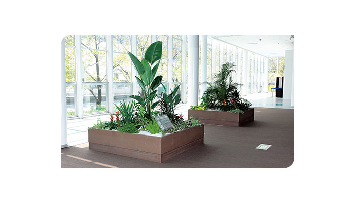 壁面緑化【D&apos;sどこでもガーデン。】