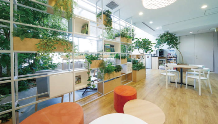 VERDENIA(ヴェルデニア)