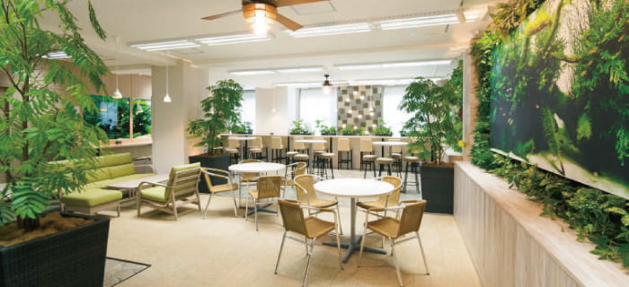 VERDENIA(ヴェルデニア)