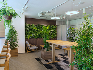 VERDENIA(ヴェルデニア)