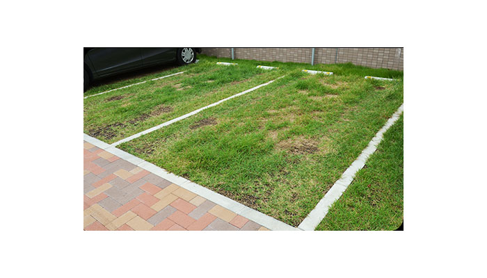 駐車場緑化【D's グリーンパーキング(芝タイプ)】