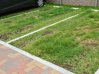 駐車場緑化【D&apos;s グリーンパーキング(芝タイプ)】