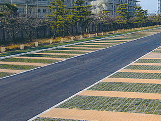 駐車場緑化【D&apos;s グリーンパーキング(ブロックタイプ)】