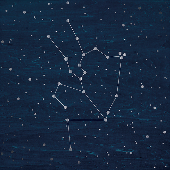 【FORESTERIOR(フォレステリア)】Stella