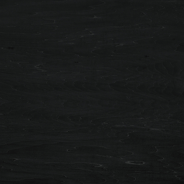 【FORESTERIOR(フォレステリア)】Stella