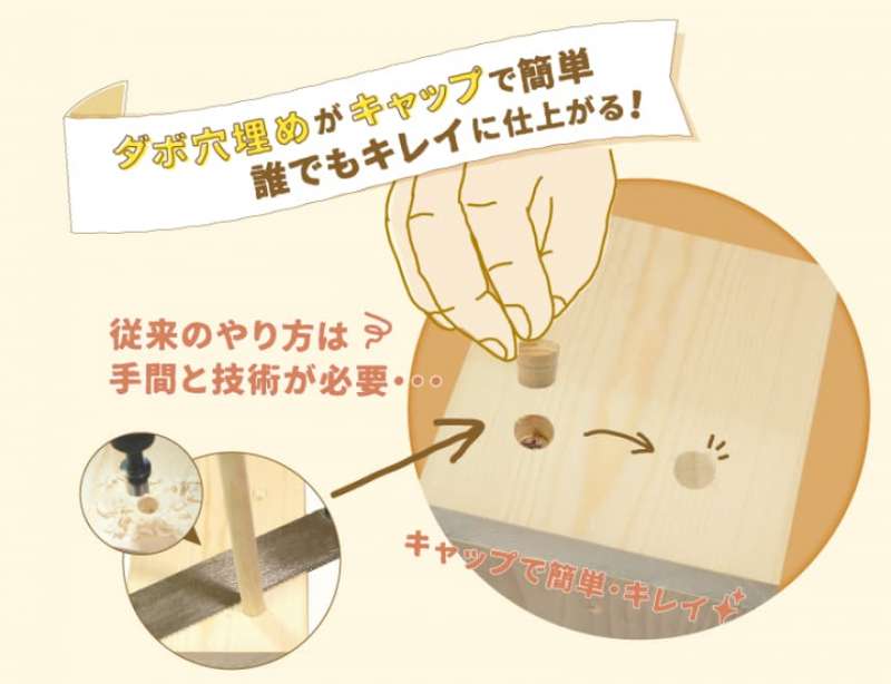 ノンヘッドキャップ ダボ穴用 / ダンドリビス株式会社