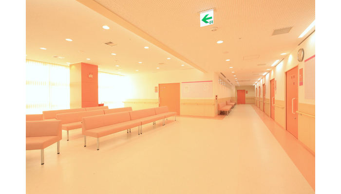 Décor  フネン ソリッドカラー