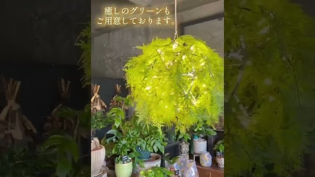 【人気商品】ラグジュアリーな輝きのシャンデリア|特許出願中の回転オプションや癒しのグリーンタイプも♪/株式会社エコールディー