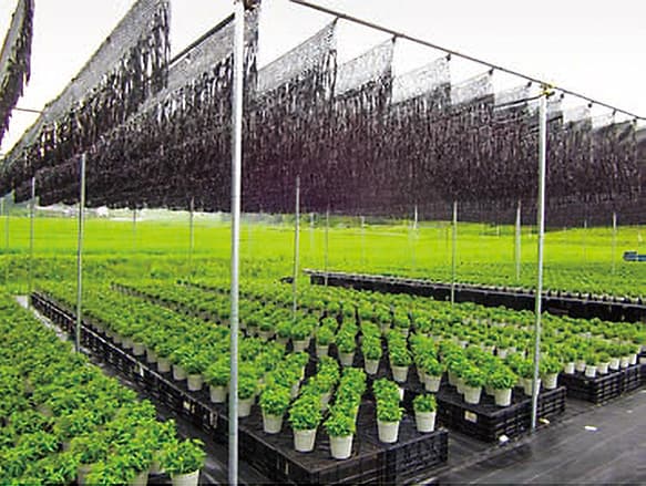 ダイオフララ / 株式会社イノベックス