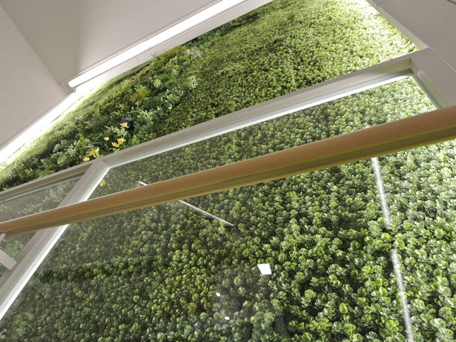 フェイクグリーンウォール(壁面緑化)