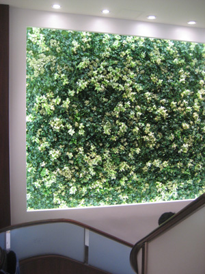 フェイクグリーン(壁面緑化)